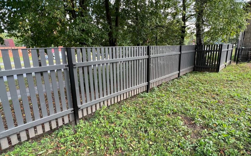 bbceli_zogi_galerija5